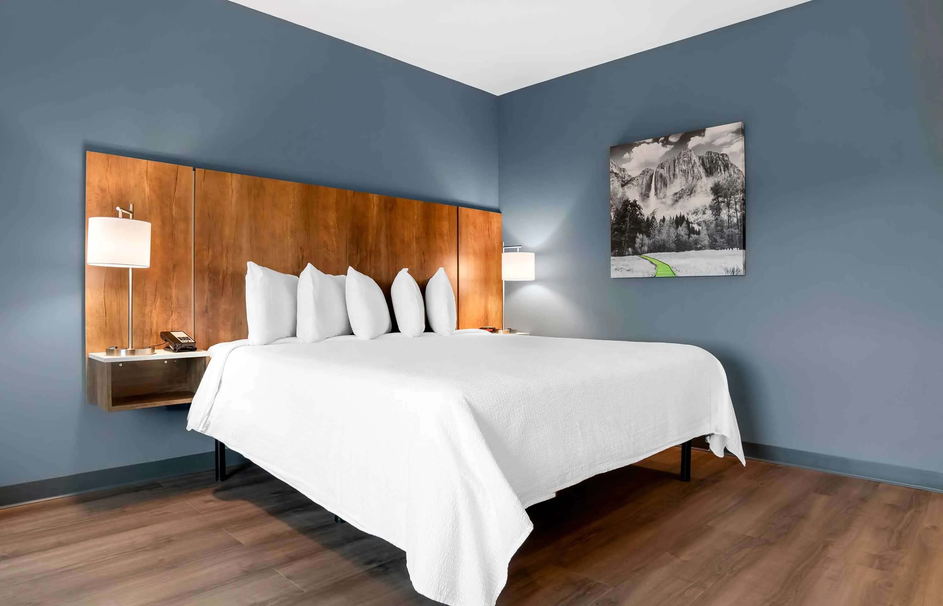 Studio Suite - 1 King Bed