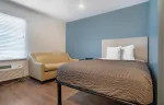 Studio Suite - 1 Full Bed