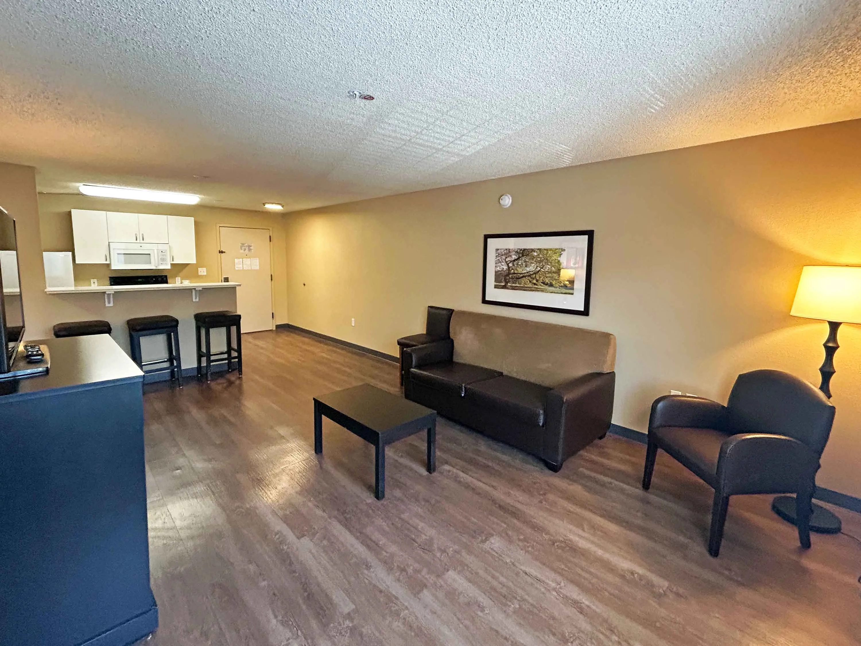 1 Bedroom Suite - 1 King Bed