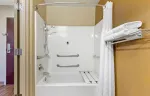 Deluxe Studio - 1 King Bed