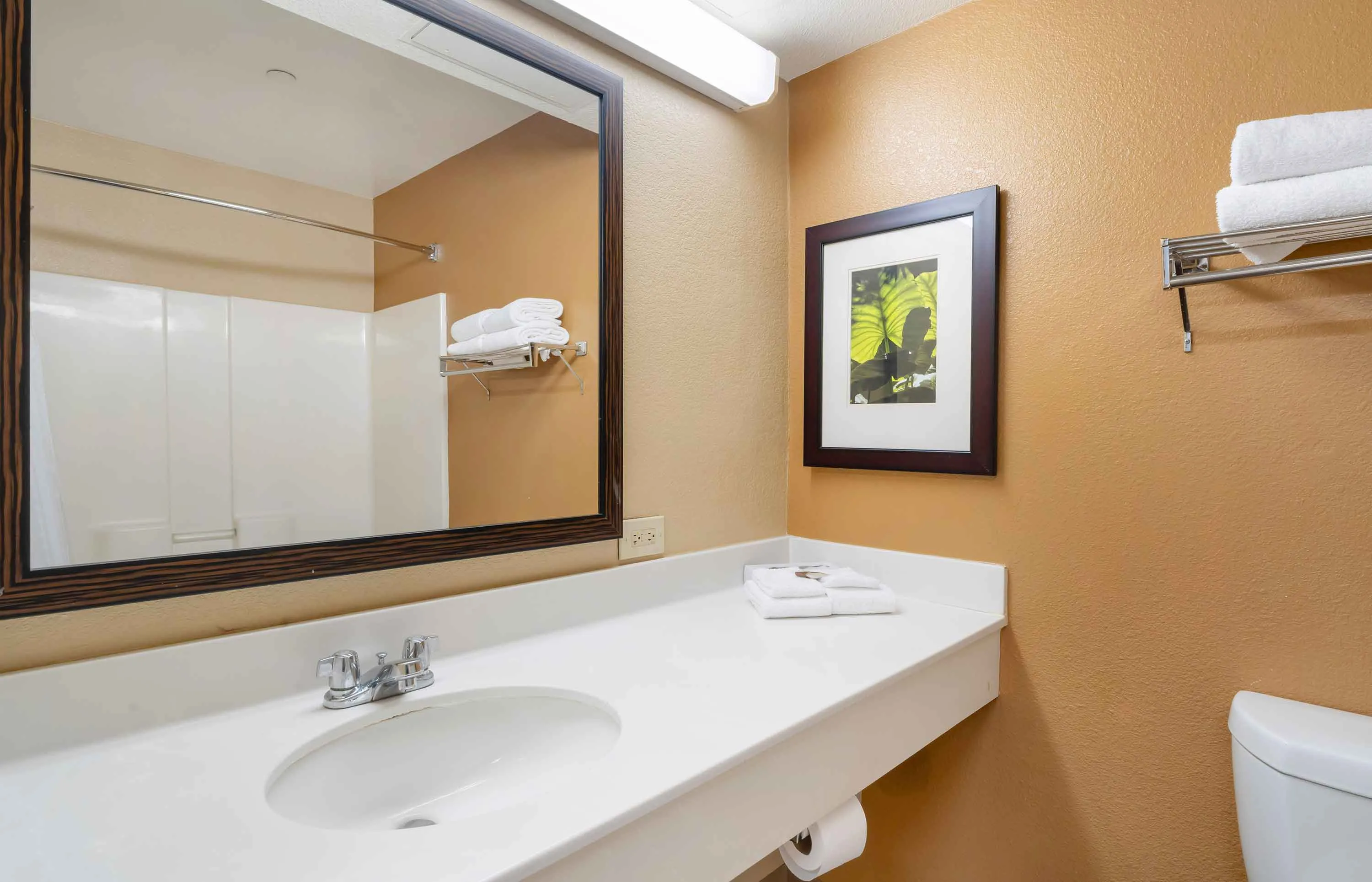 Studio Suite - 2 Full Beds
