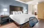 Executive Suite - 1 King Bed