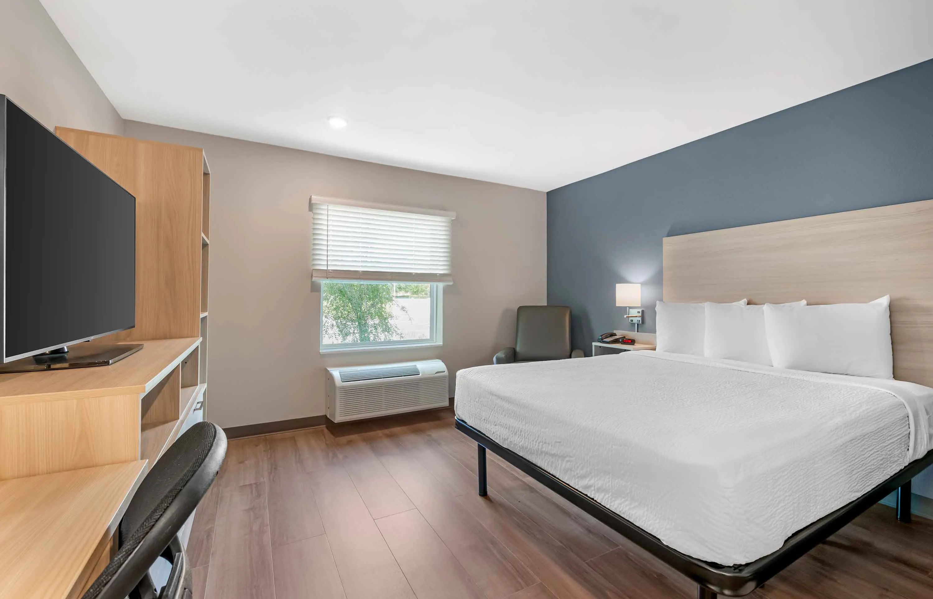 Studio Suite - 1 Queen Bed