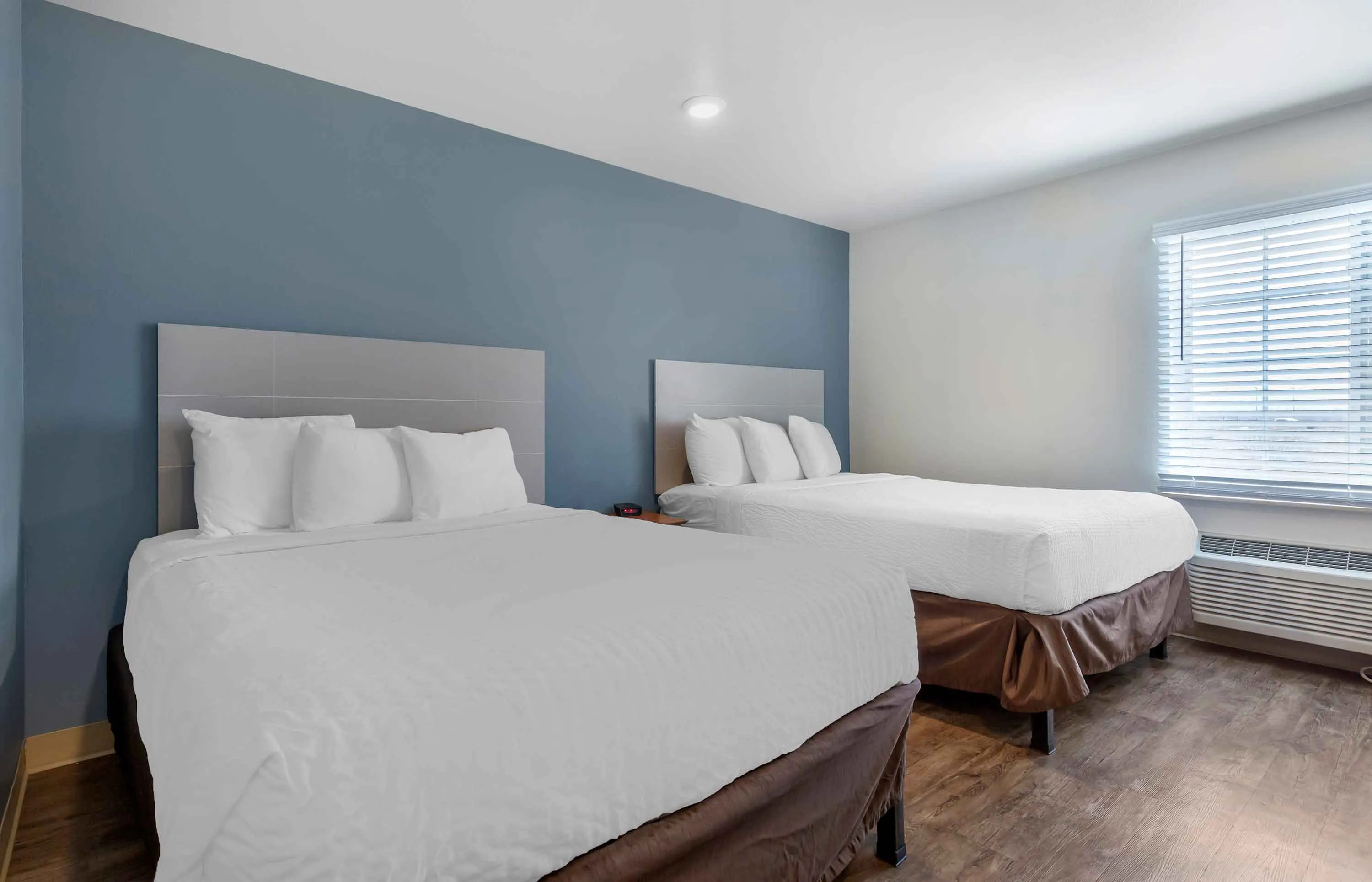 Studio Suite - 2 Full Beds