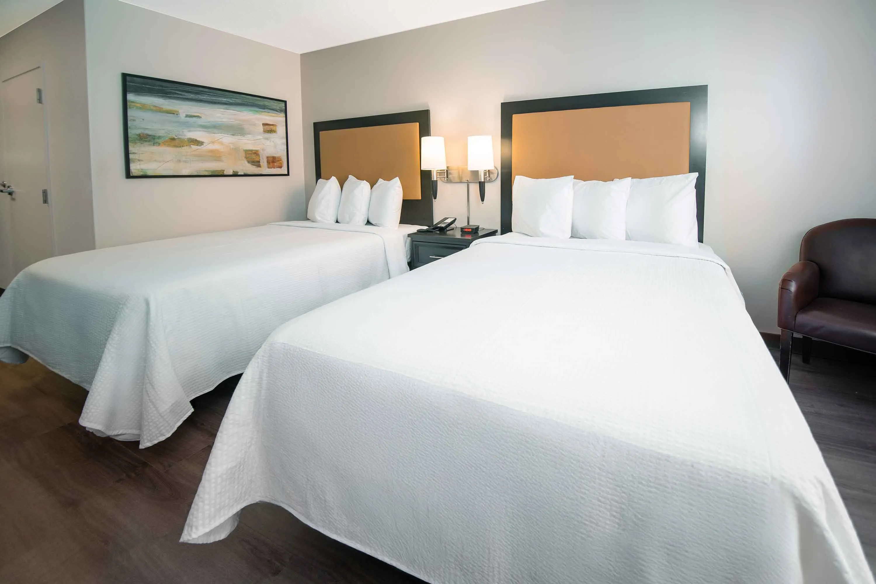Studio Suite - 2 Queen Beds