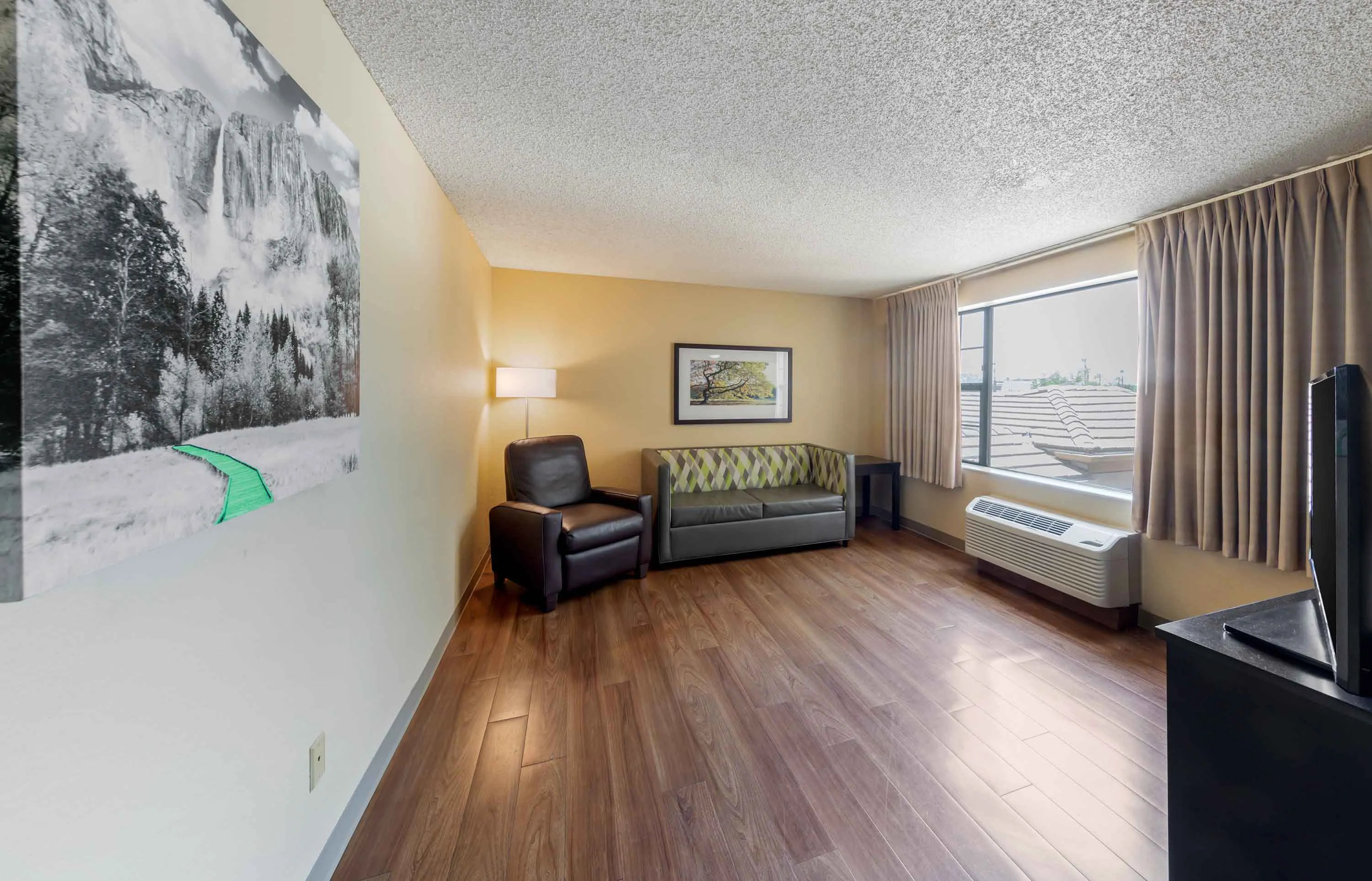 1 Bedroom Suite - 1 King Bed