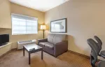 1 Bedroom Suite - 1 King Bed