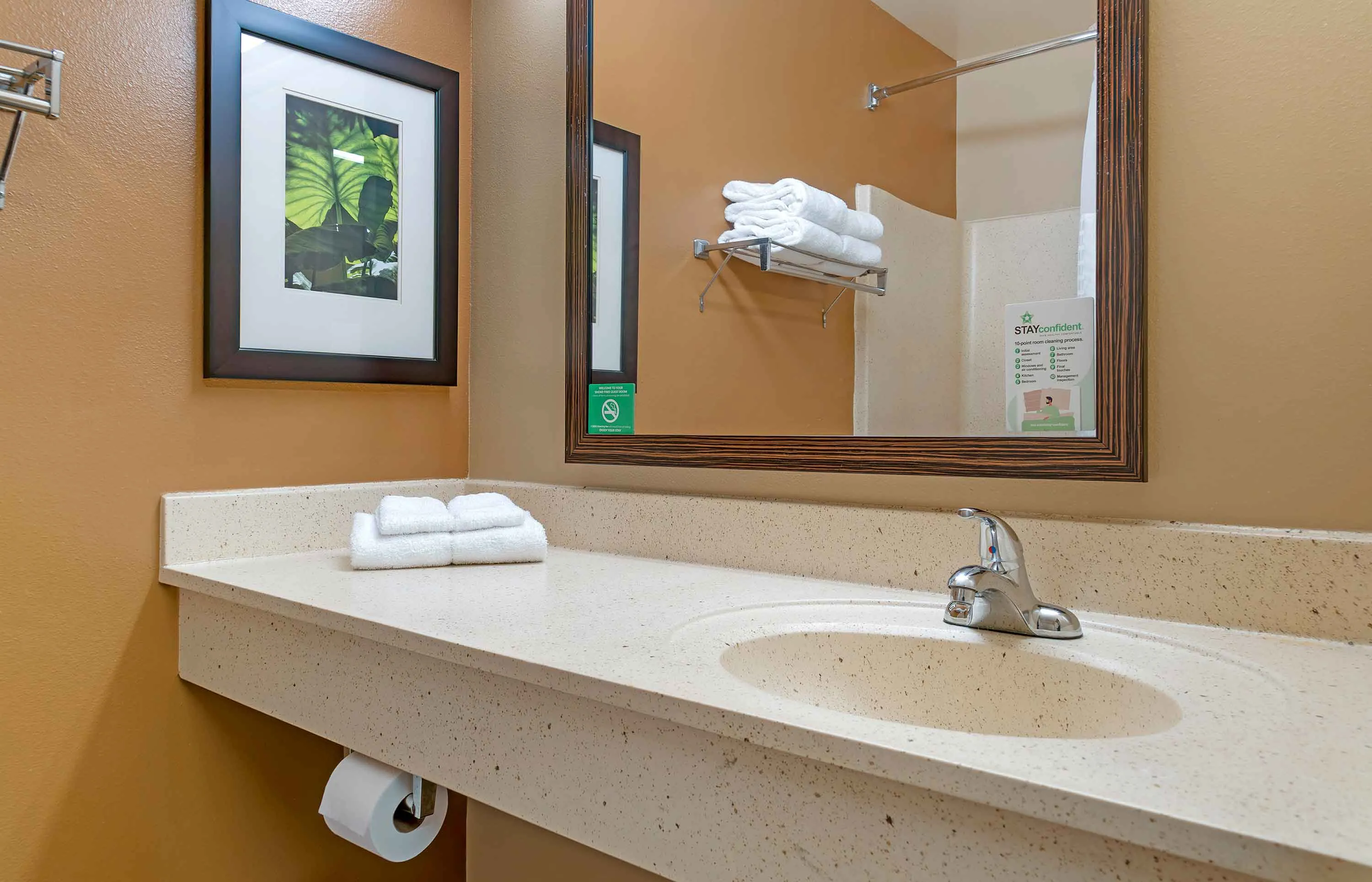 Studio Suite - 2 Full Beds