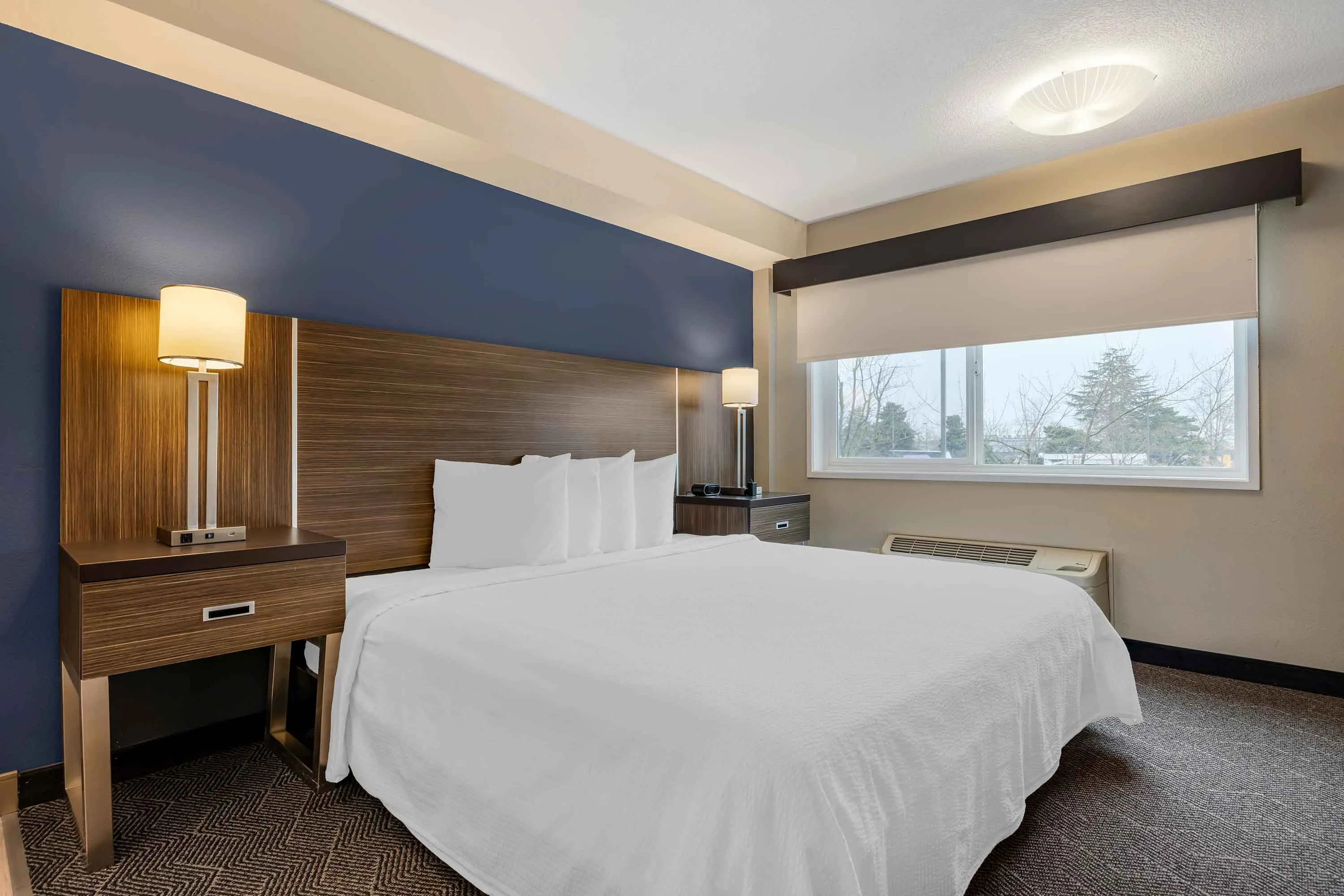 Studio Suite - 1 King Bed