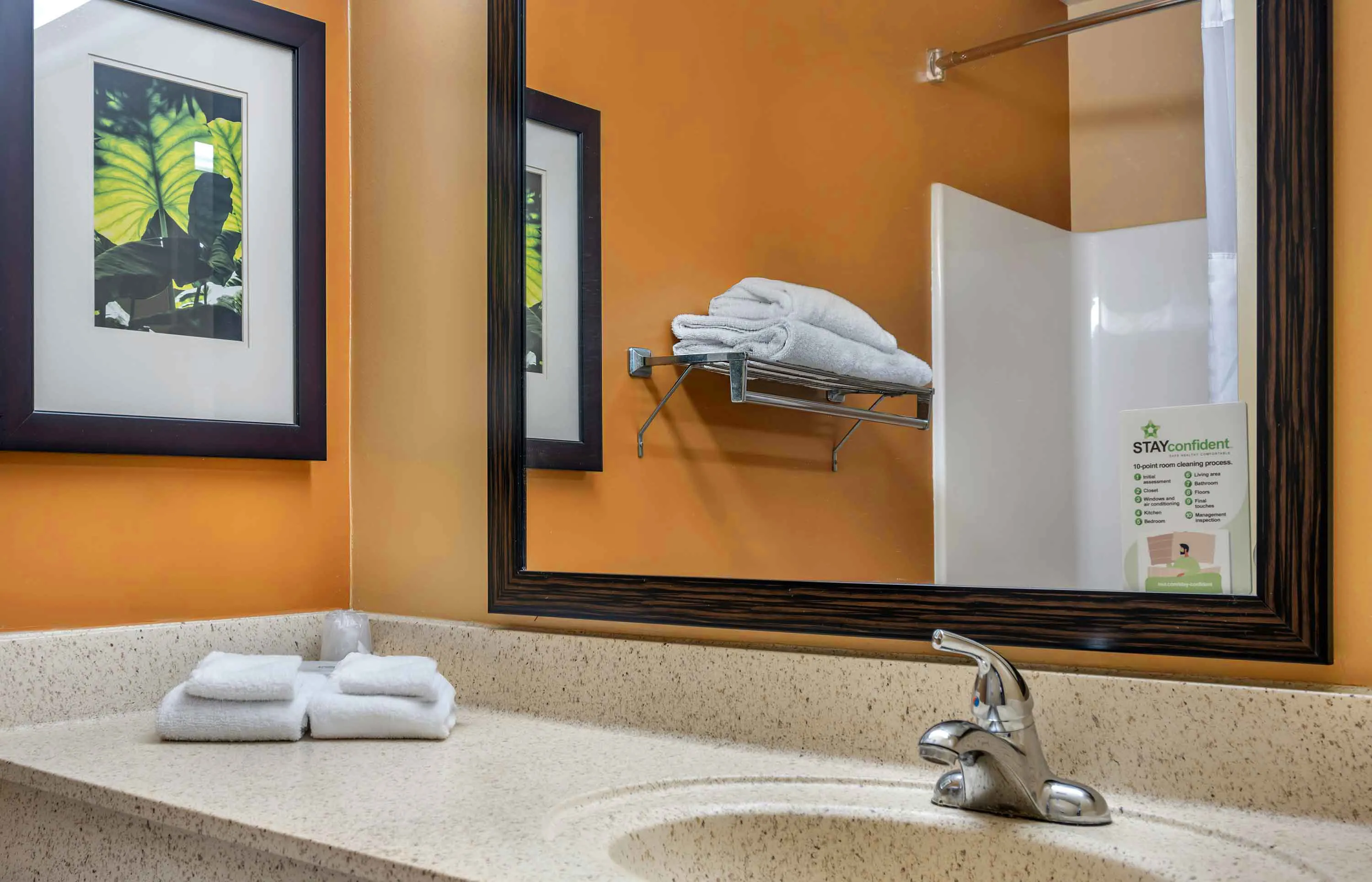 Studio Suite - 2 Full Beds