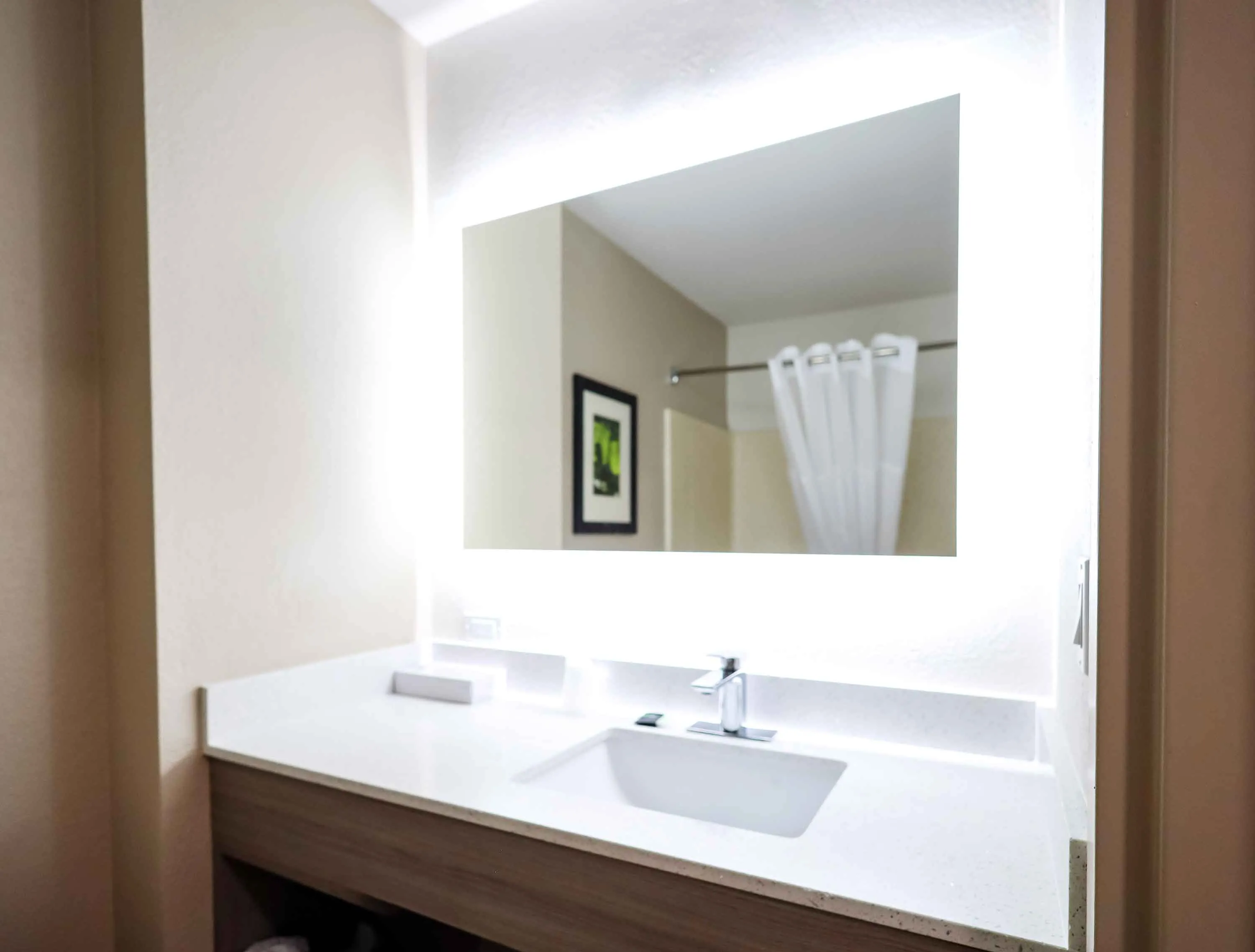 Studio Suite - 1 Queen Bed