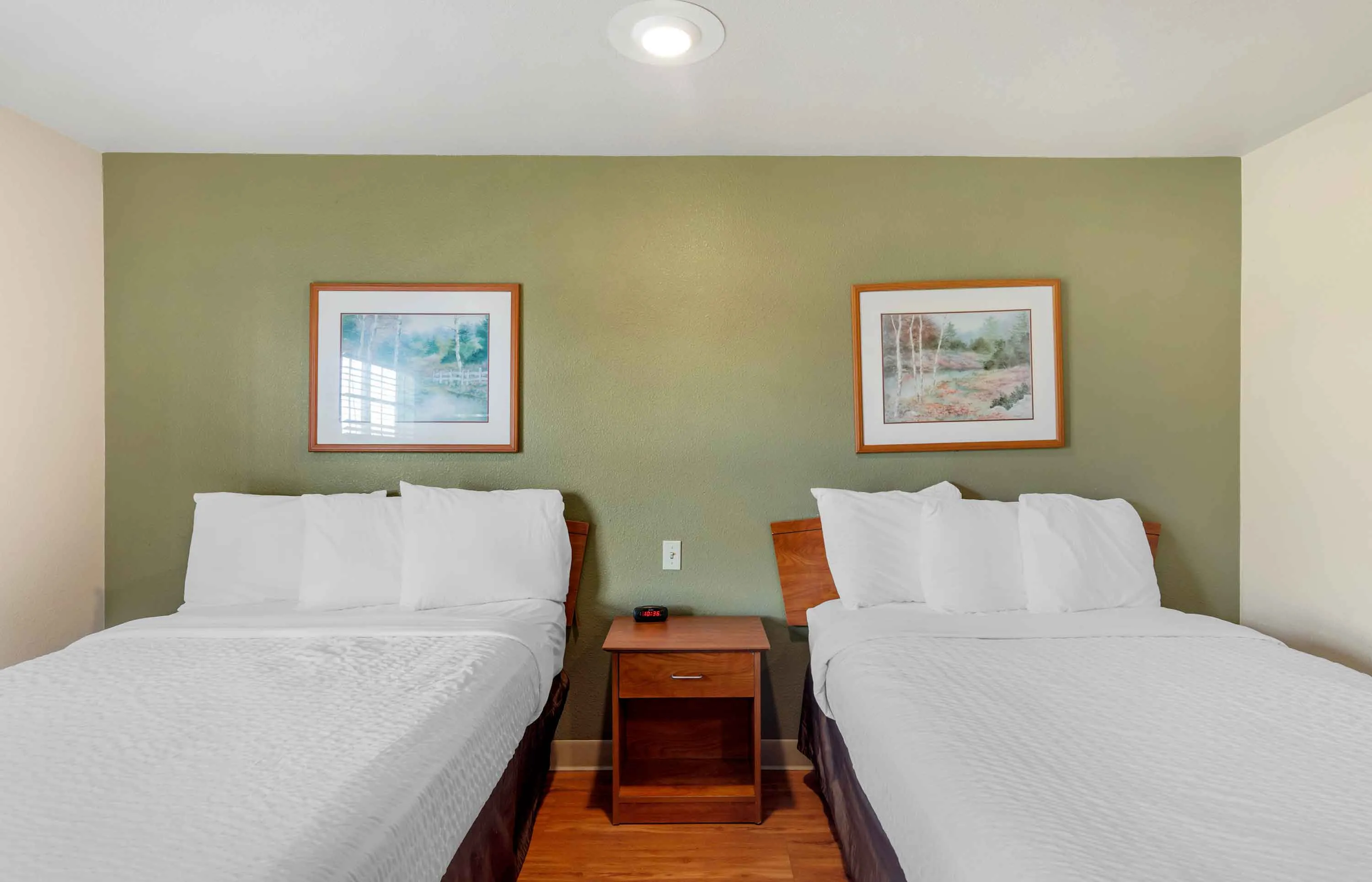 Studio Suite - 2 Full Beds