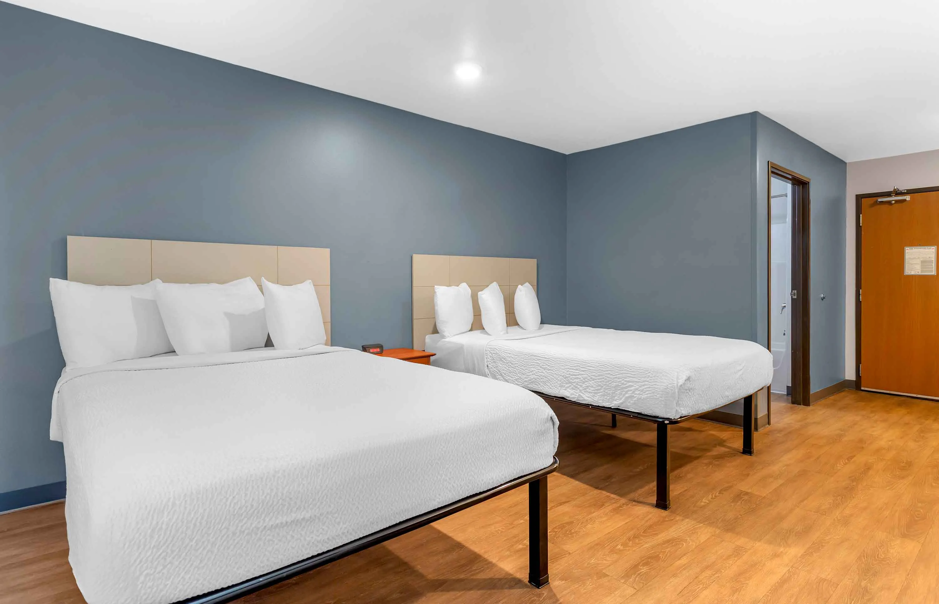 Studio Suite - 2 Full Beds