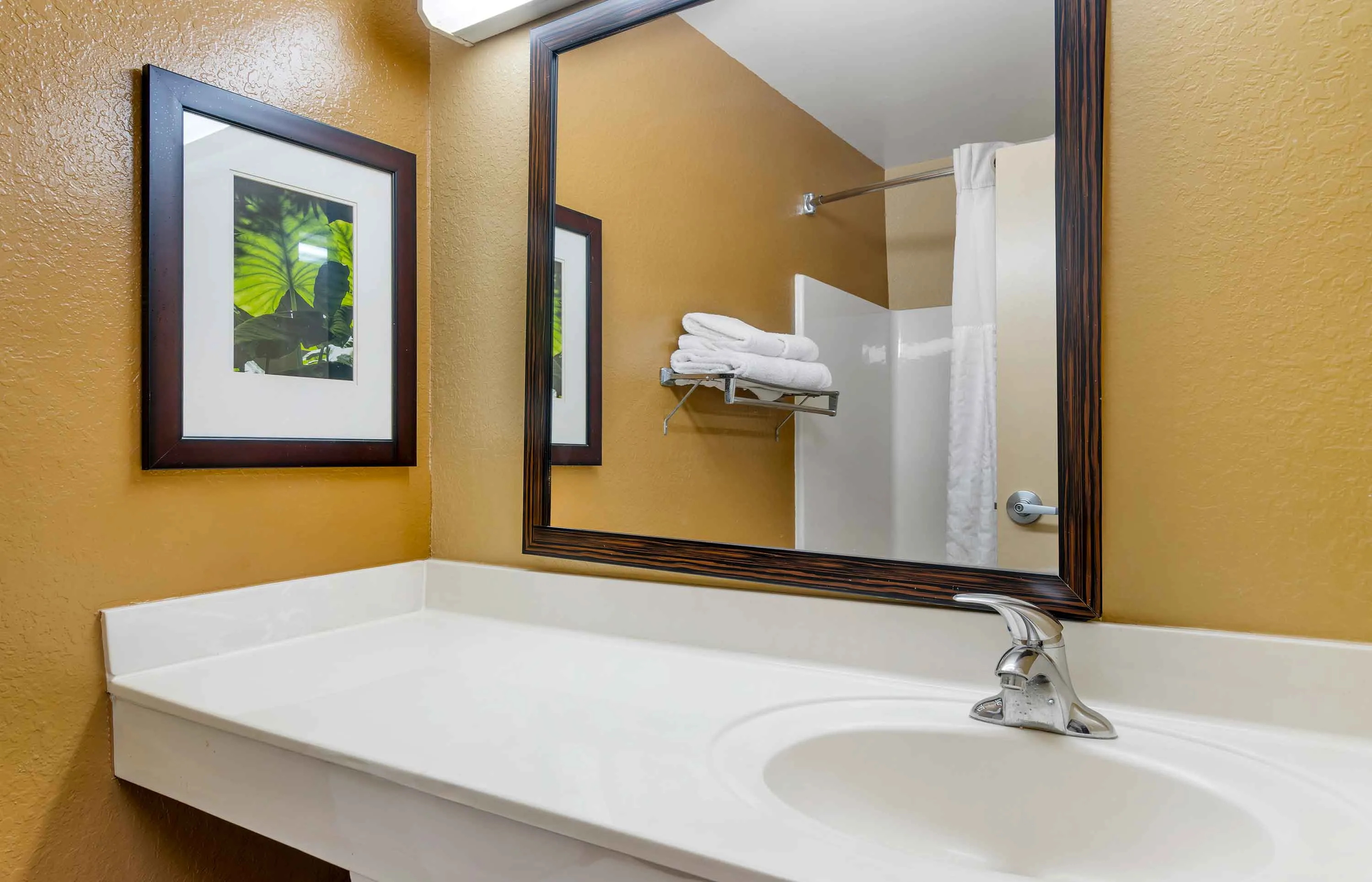 Studio Suite - 1 King Bed