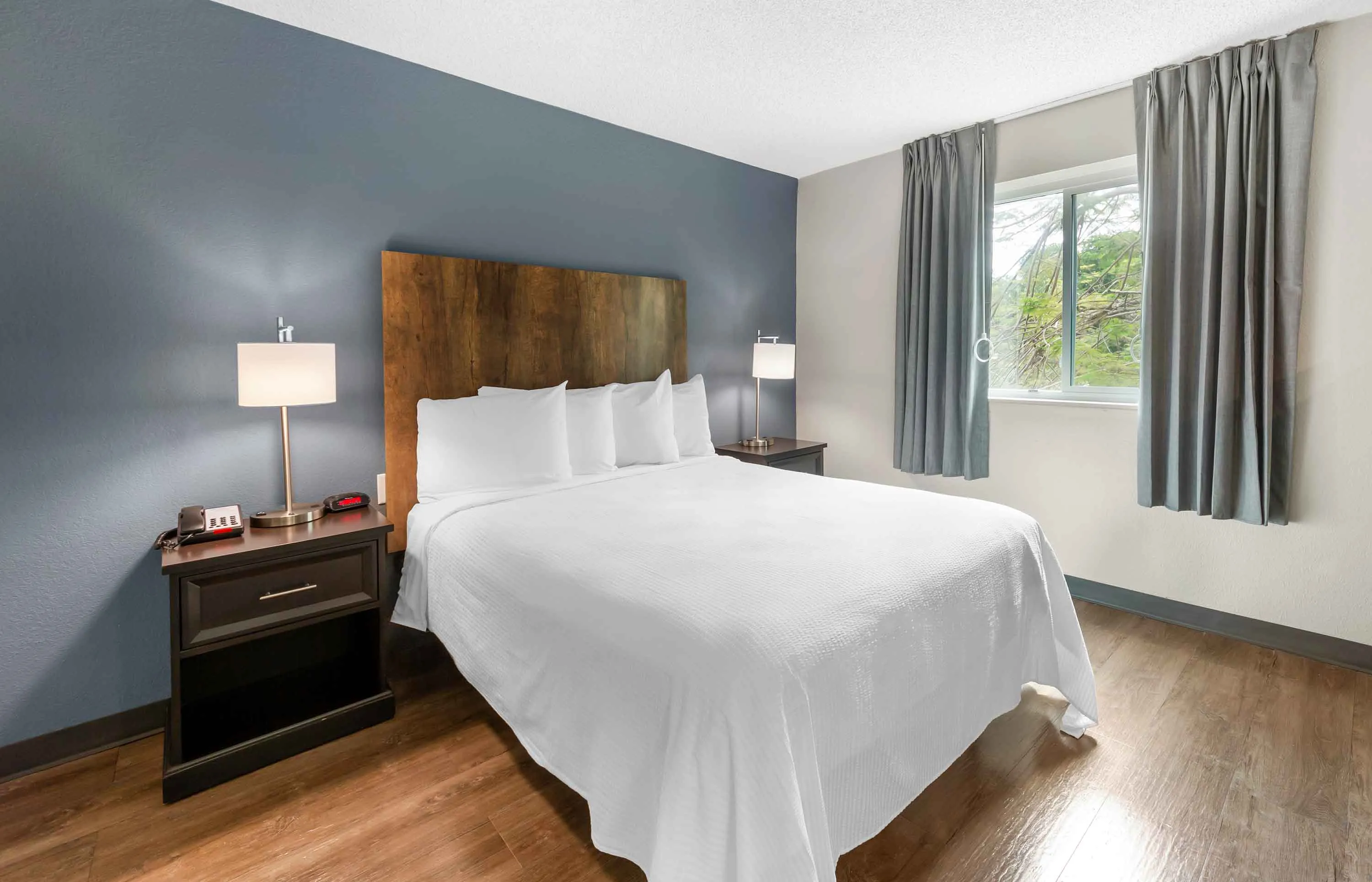 Studio Suite - 1 Queen Bed