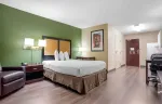 Studio Suite - 1 Queen Bed