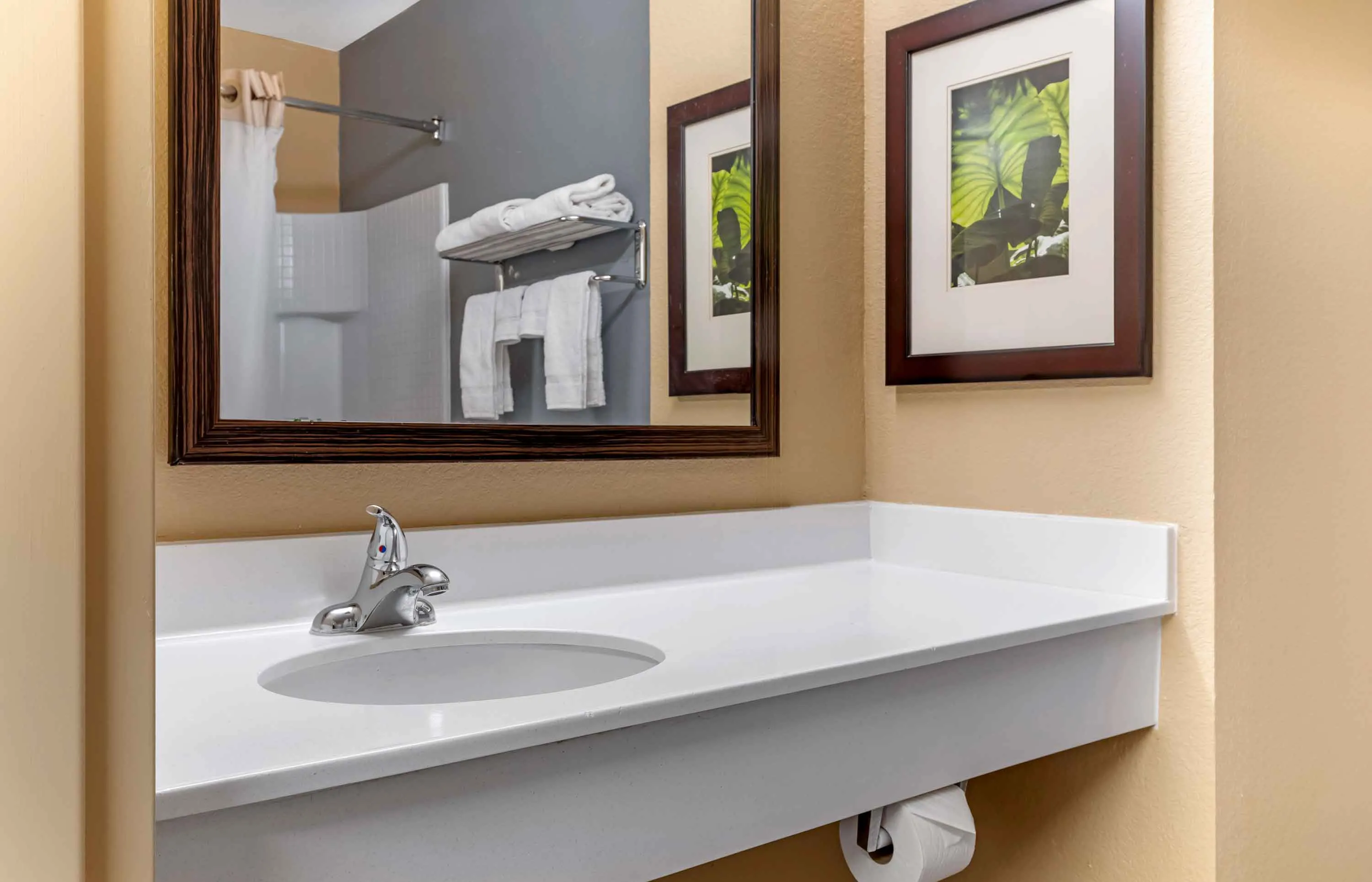 Studio Suite - 2 Full Beds