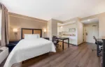 Studio Suite - 1 Queen Bed