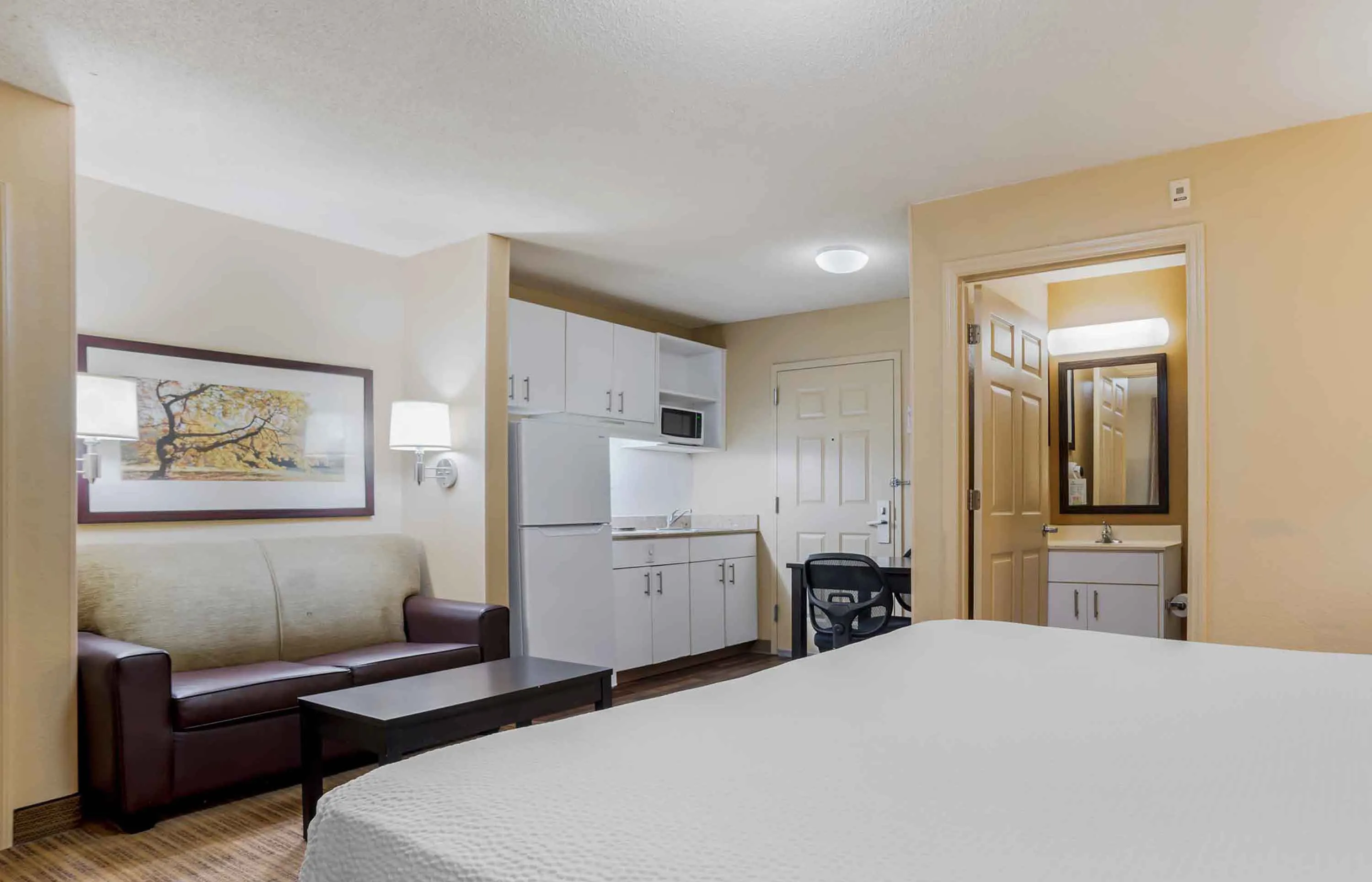 Deluxe Studio - 1 King Bed