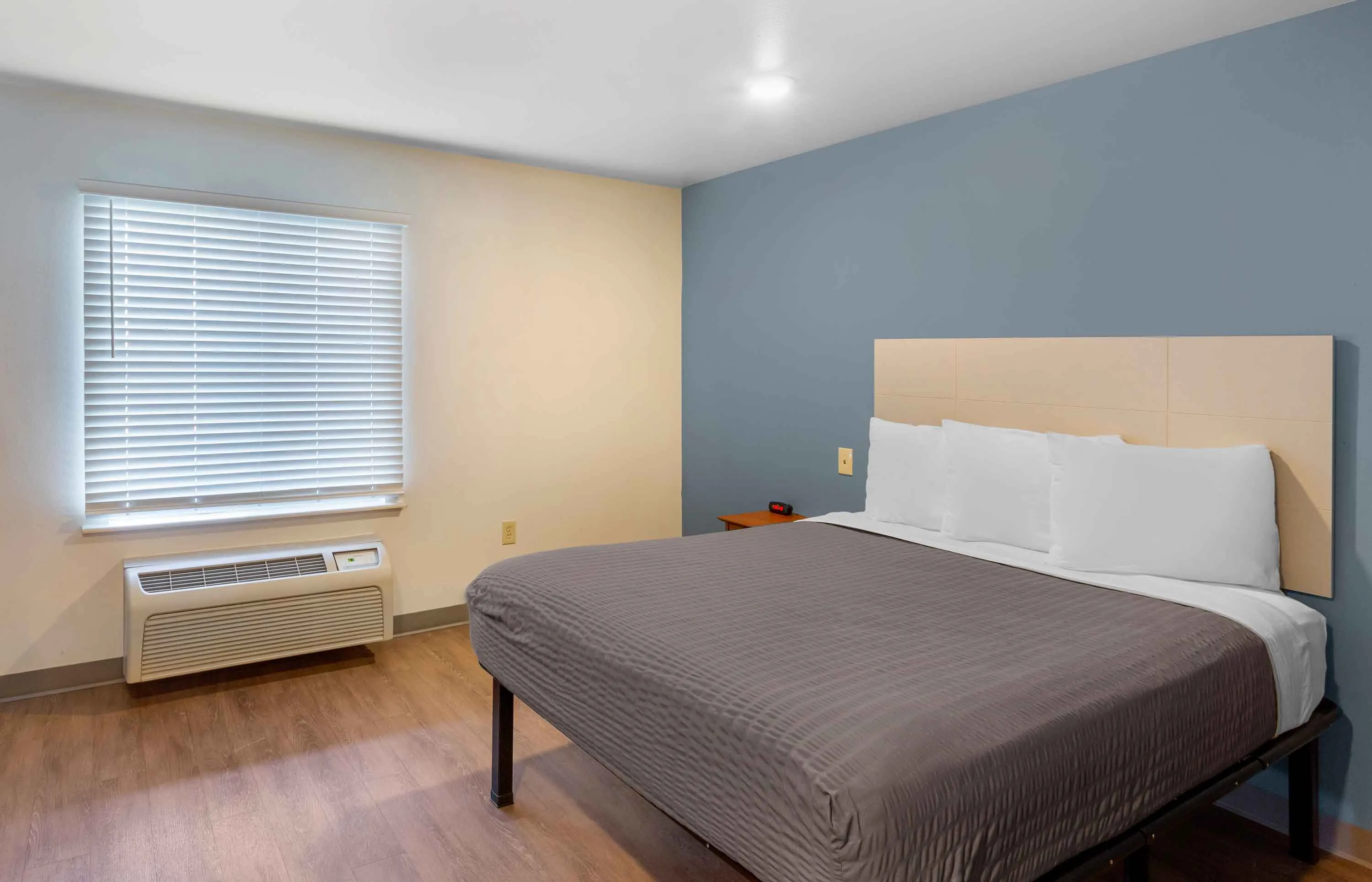 Studio Suite - 1 Queen Bed