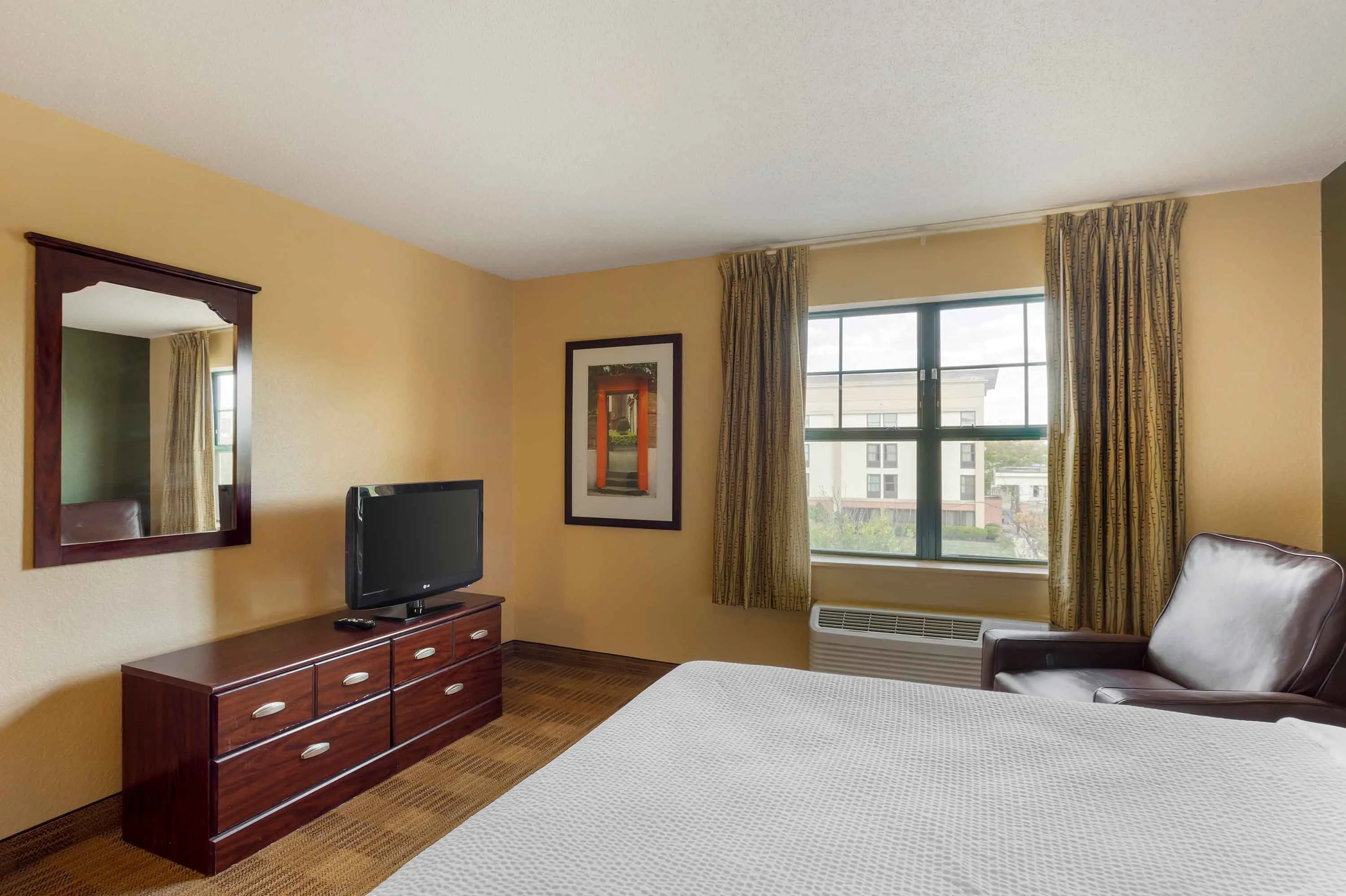 Studio Suite - 1 Queen Bed