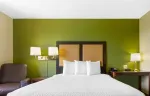 Studio Suite - 1 Queen Bed