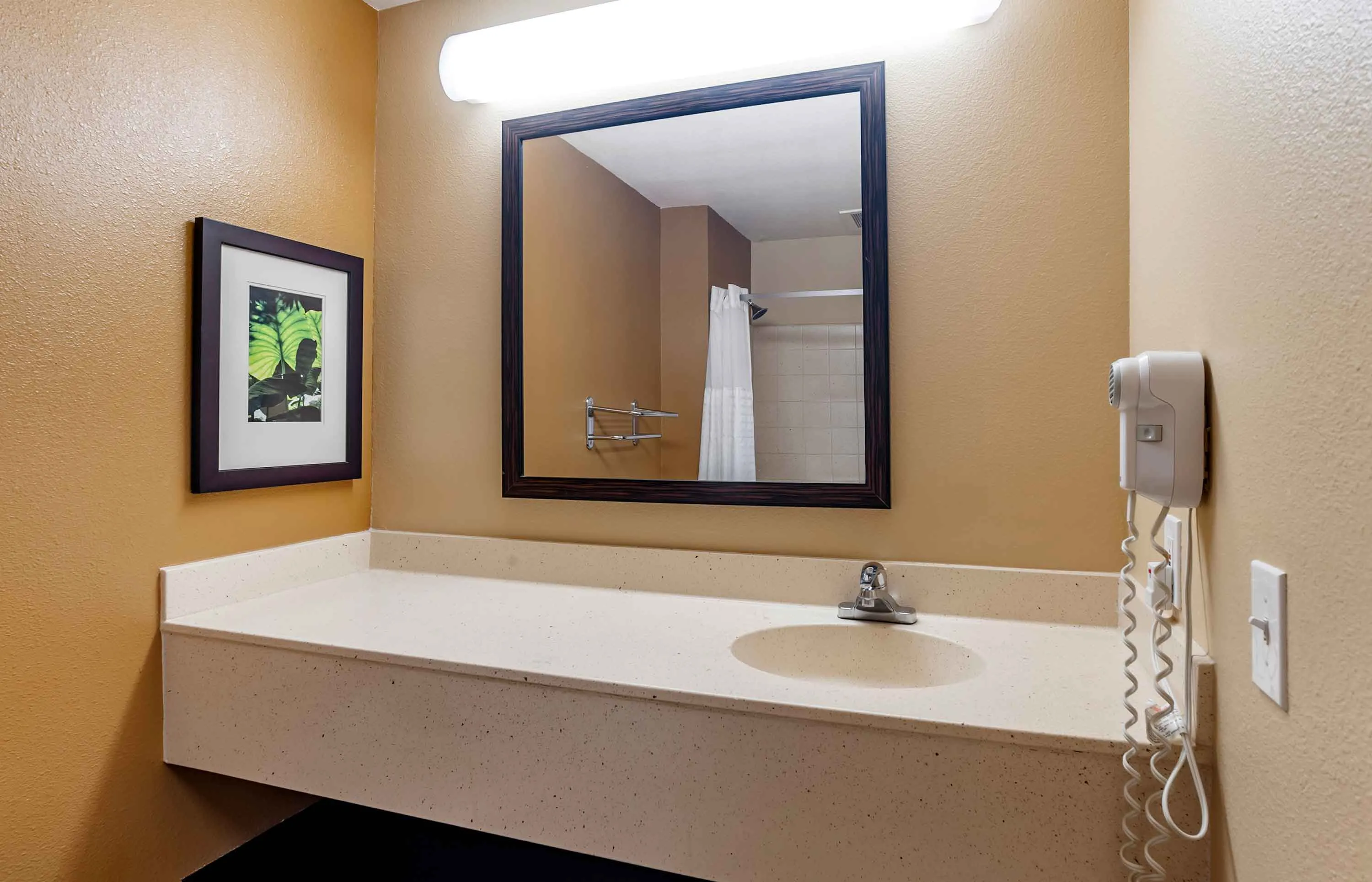 Studio Suite - 2 Full Beds