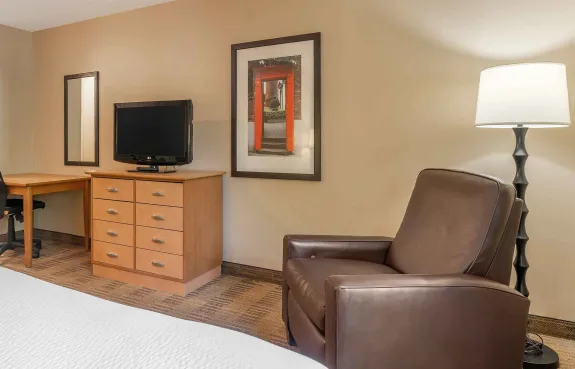 Studio Suite - 1 Queen Bed