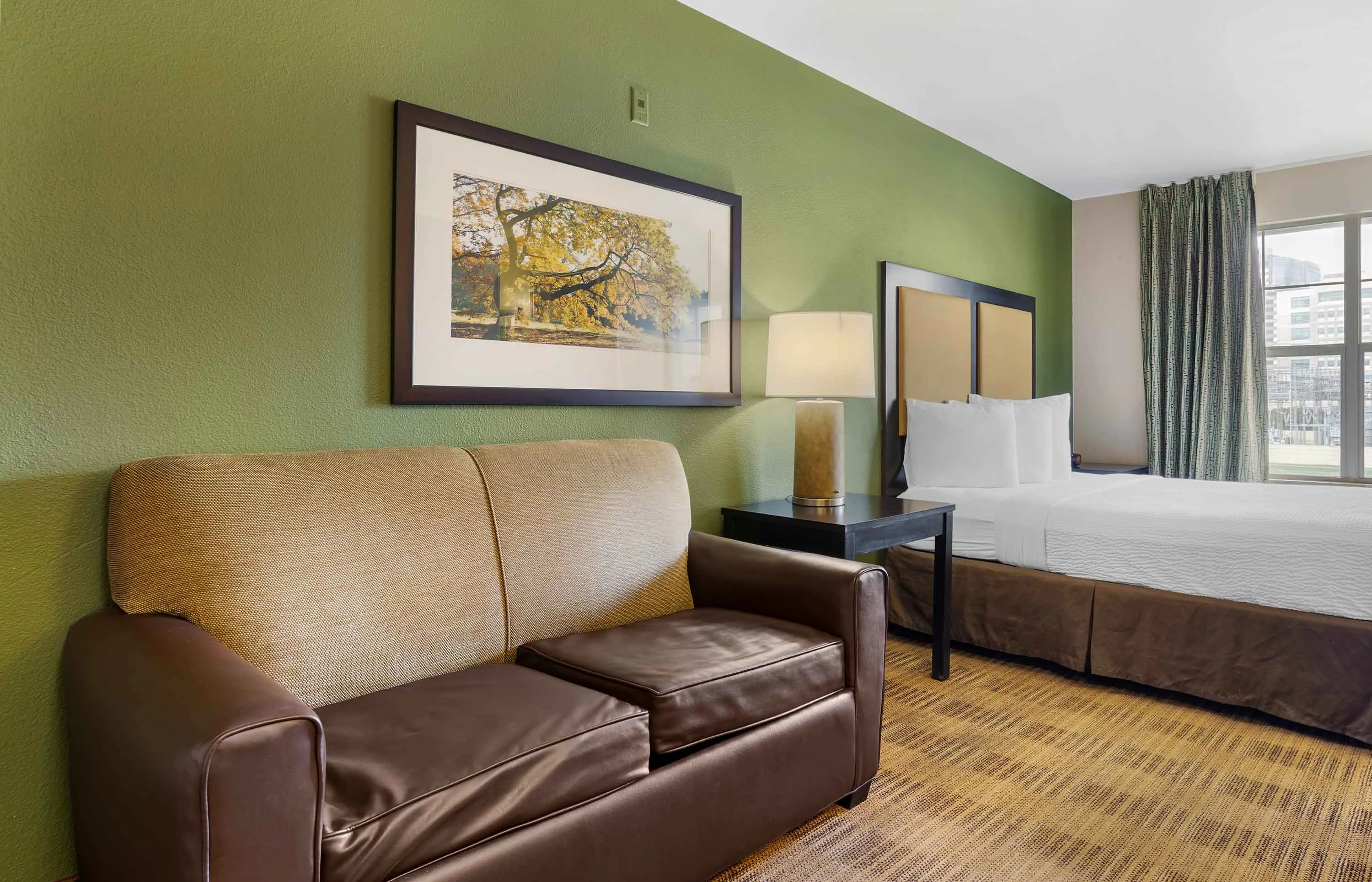 Studio Suite - 1 Queen Bed