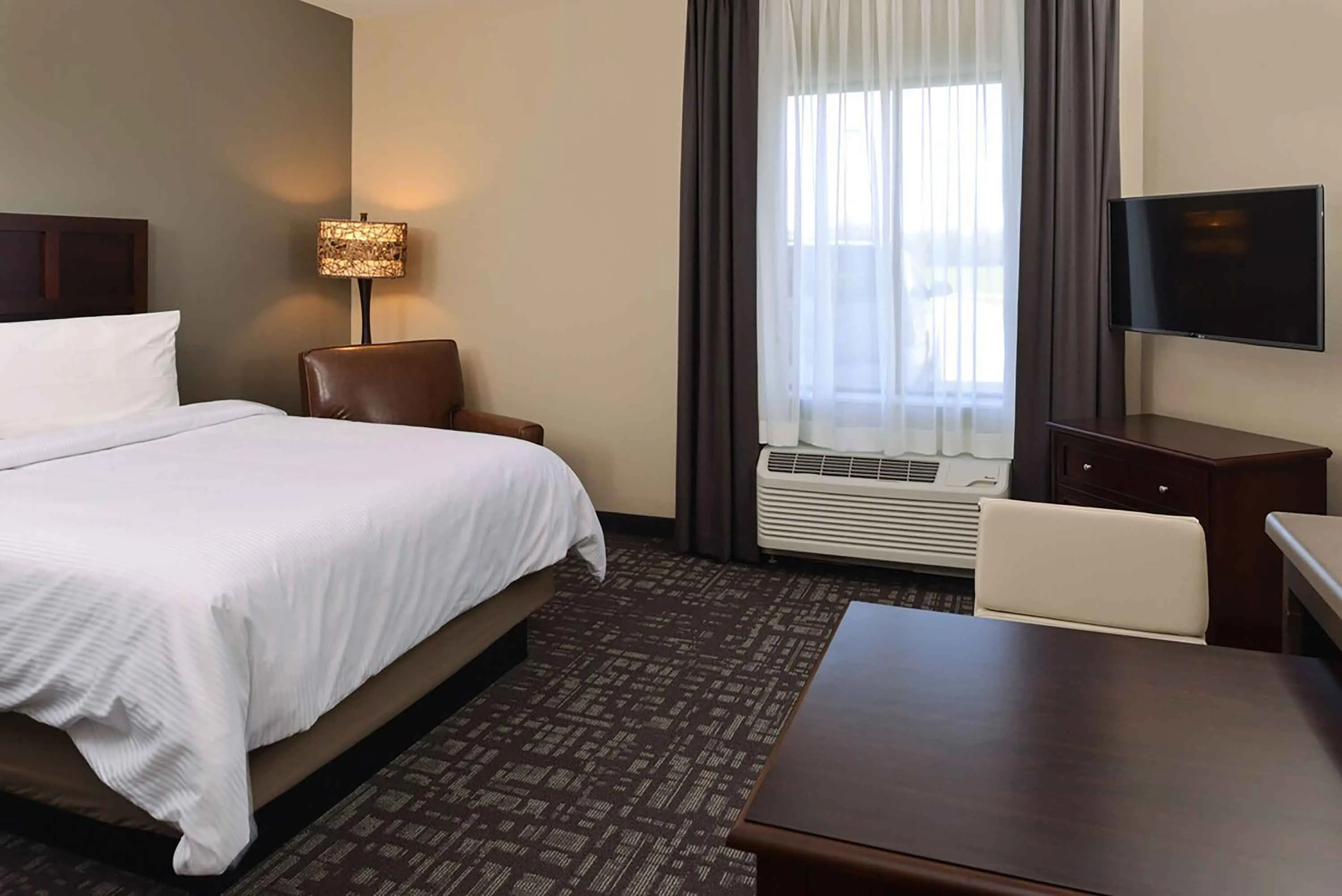 Studio Suite - 1 Queen Bed