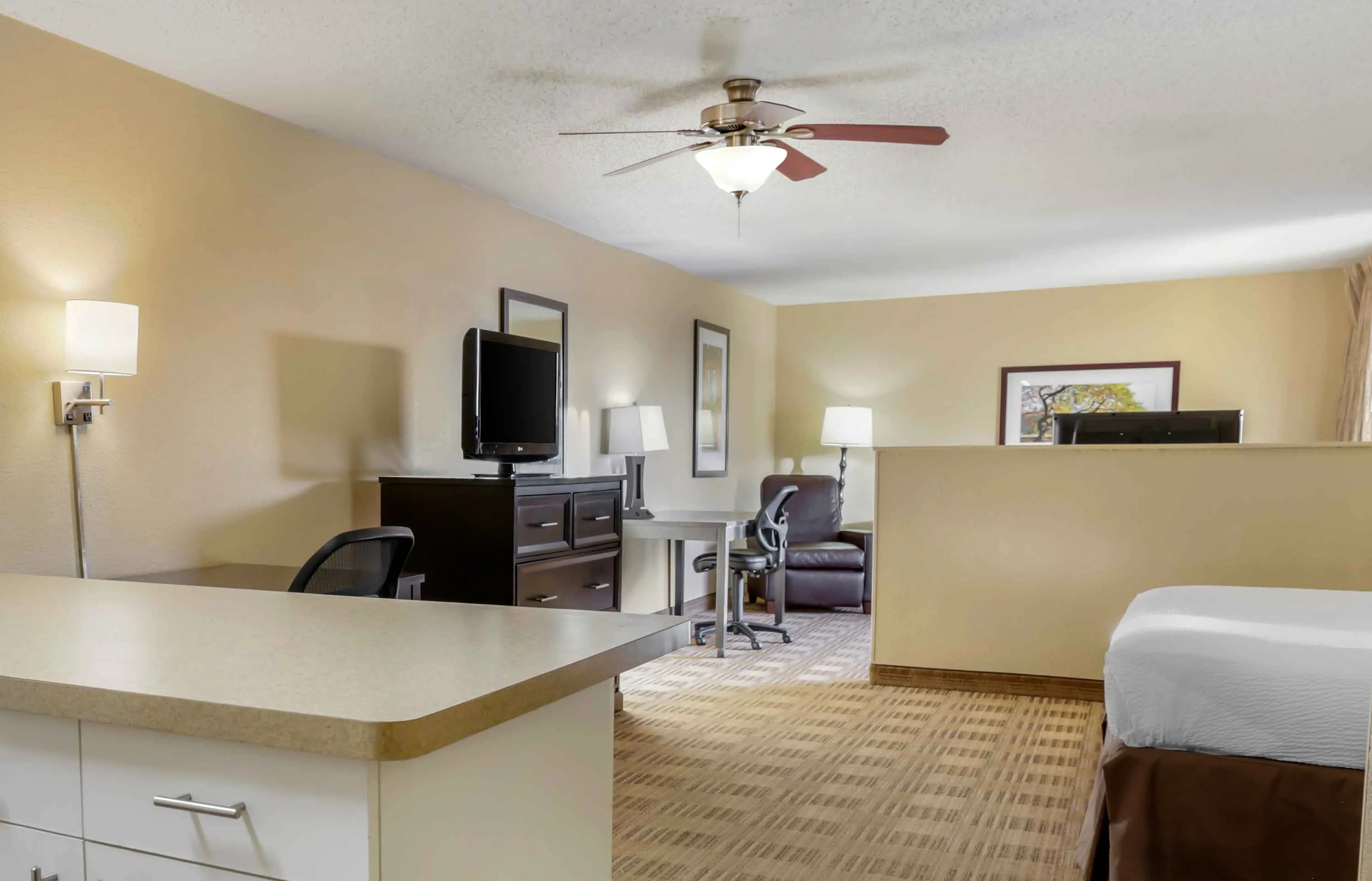 1 Bedroom Suite - 1 King Bed