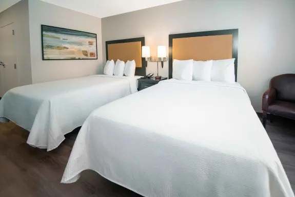 Studio Suite - 2 Full Beds