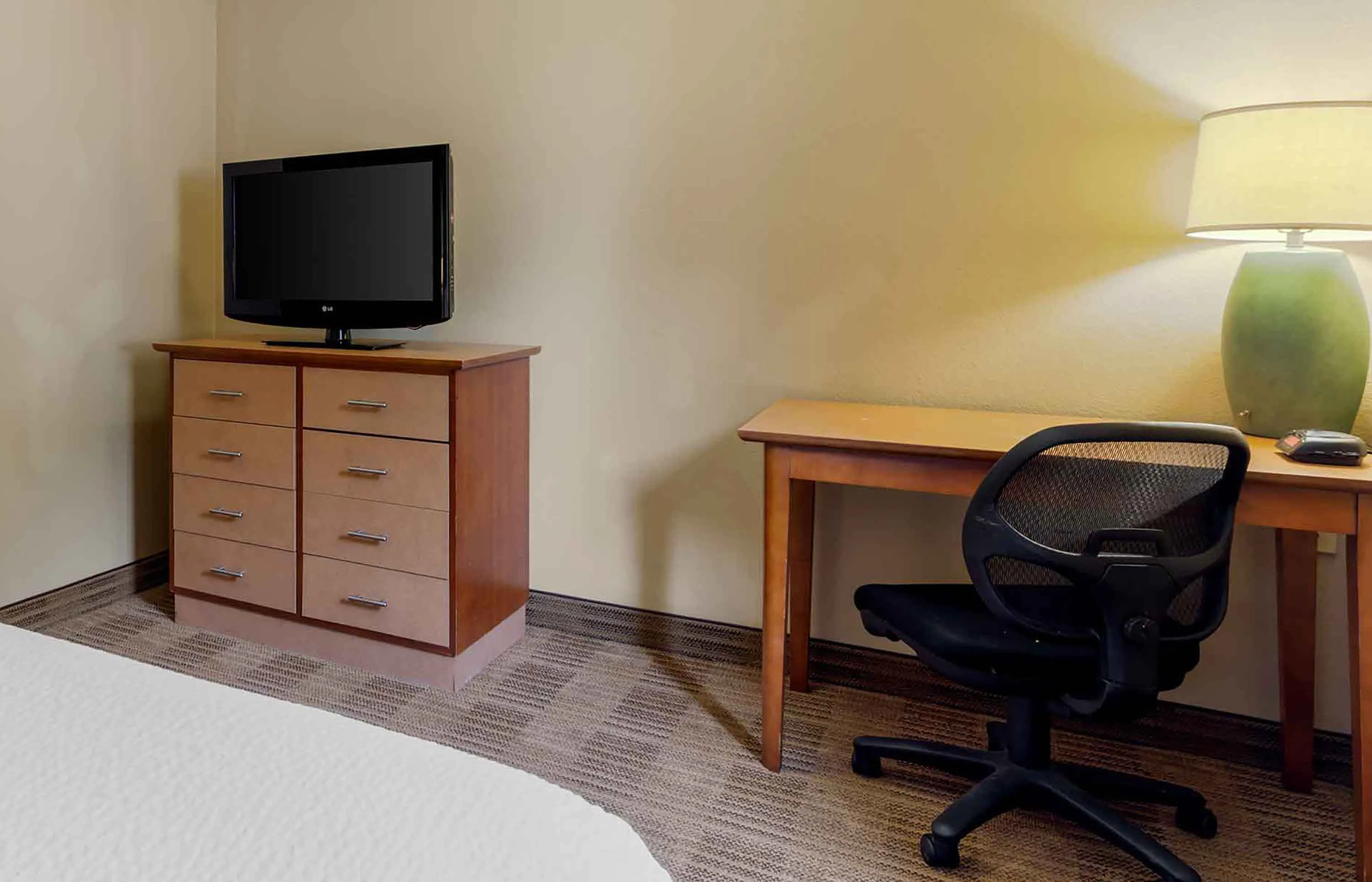 Studio Suite - 1 Queen Bed
