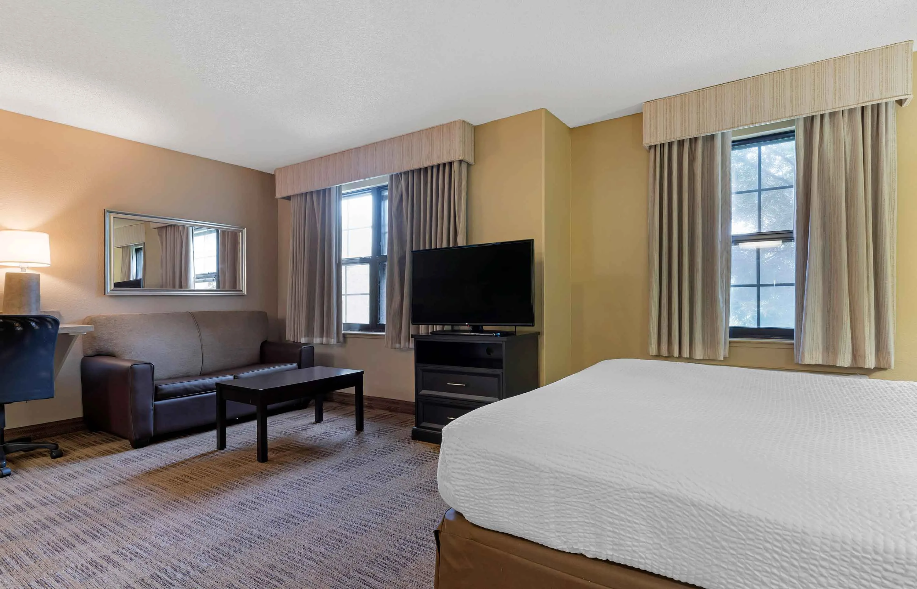 Deluxe Studio - 1 Queen Bed