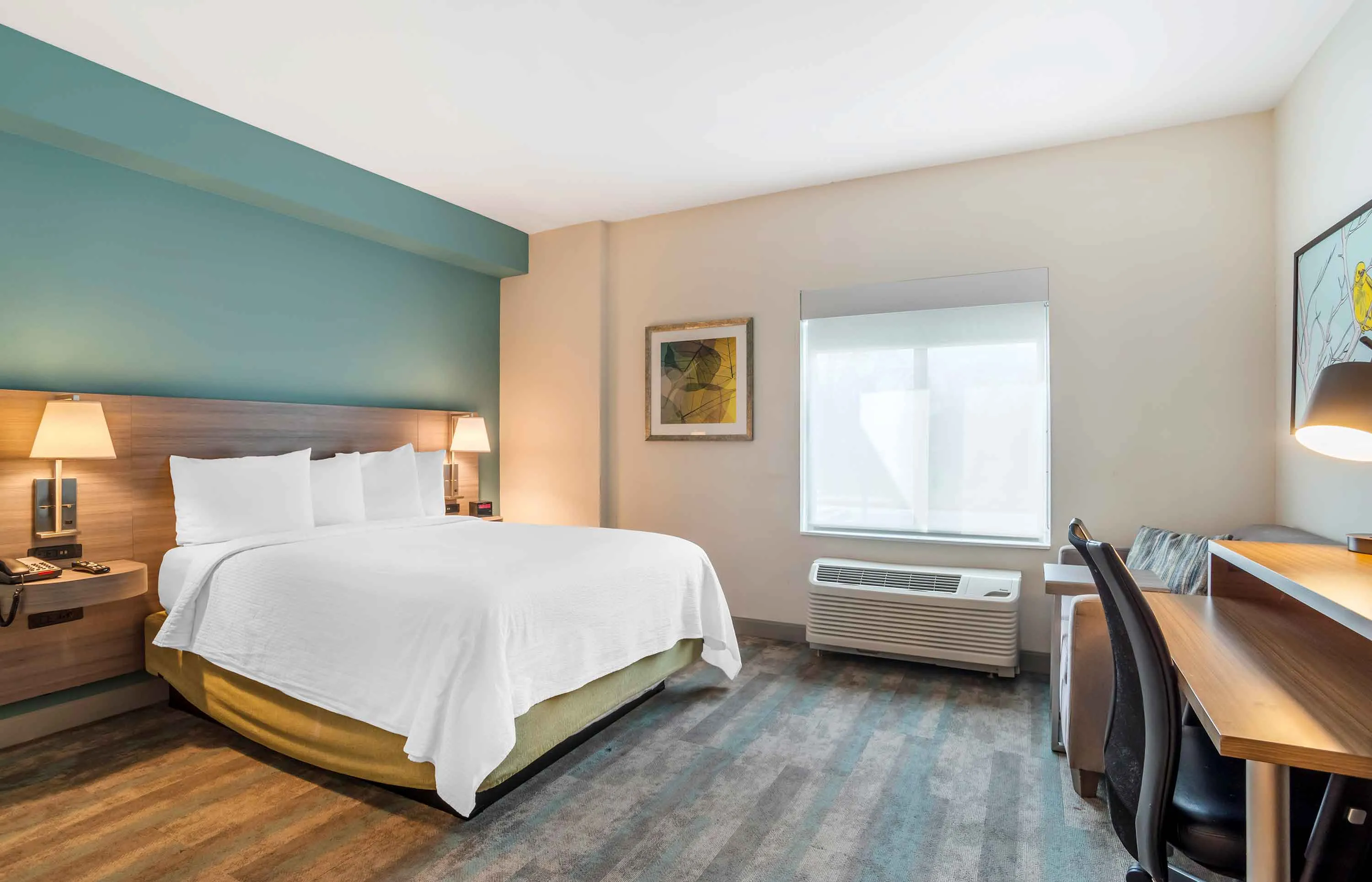 Studio Suite - 1 Queen Bed