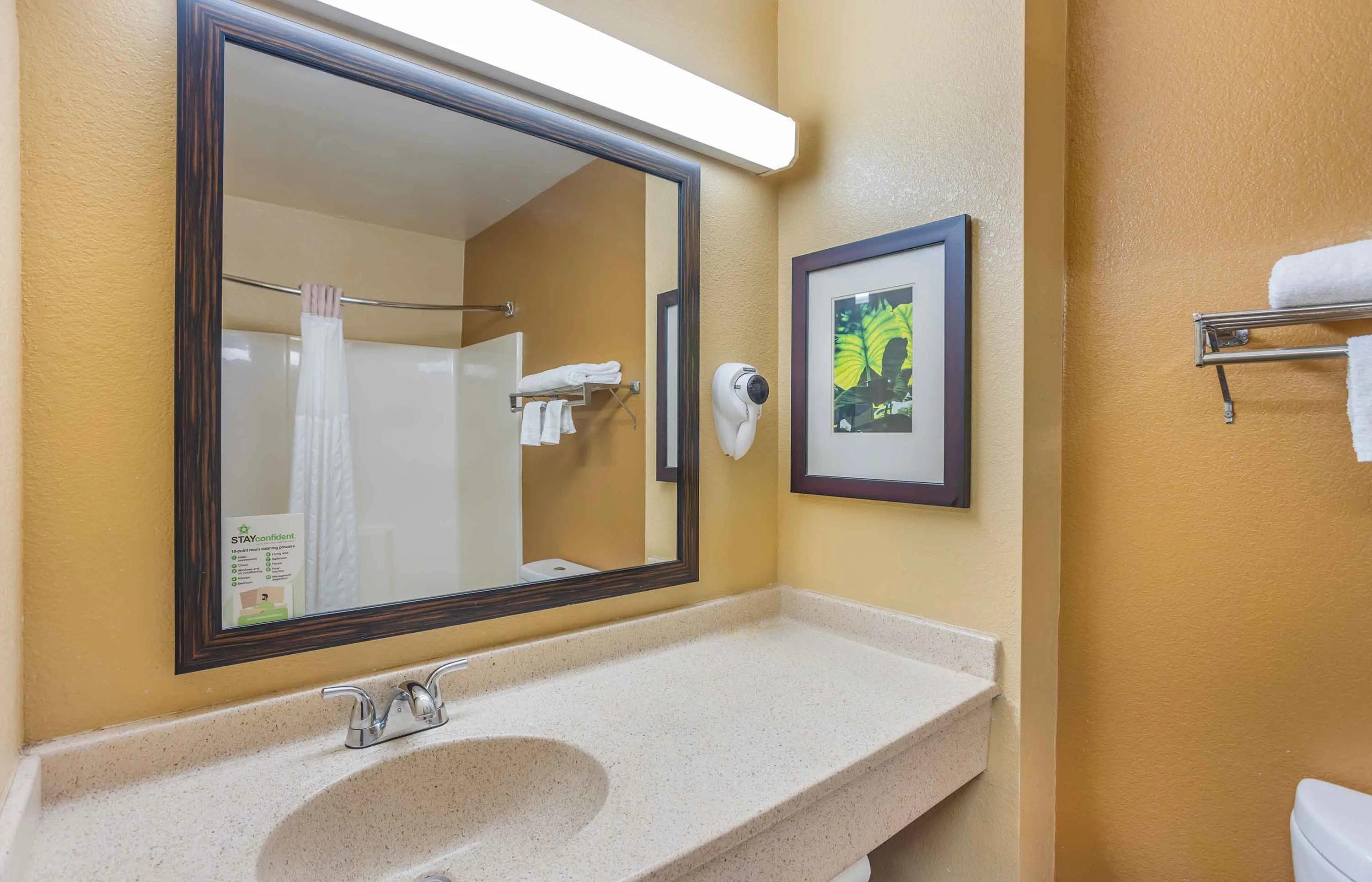 Studio Suite - 2 Full Beds