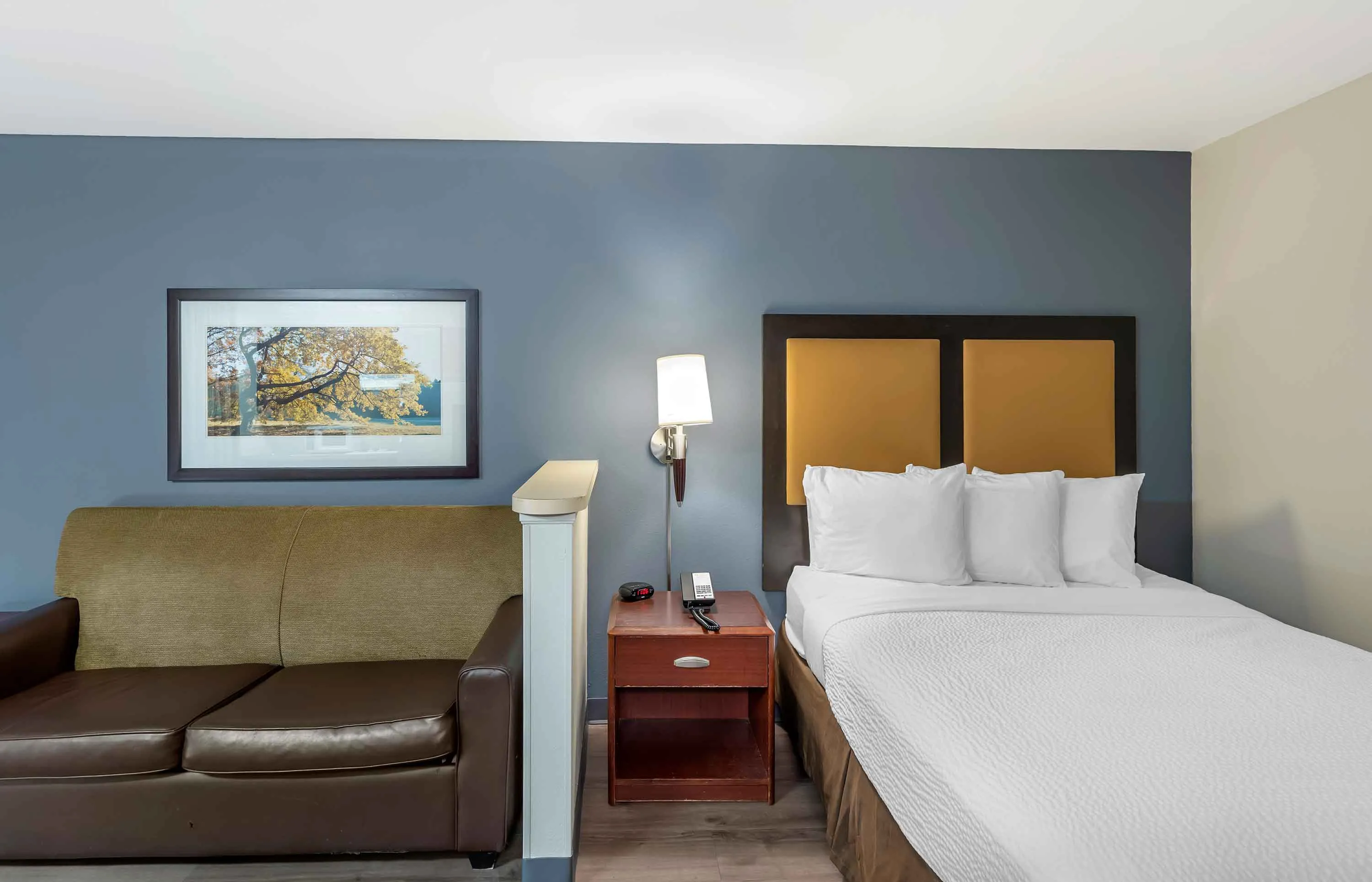 Deluxe Studio - 1 Queen Bed