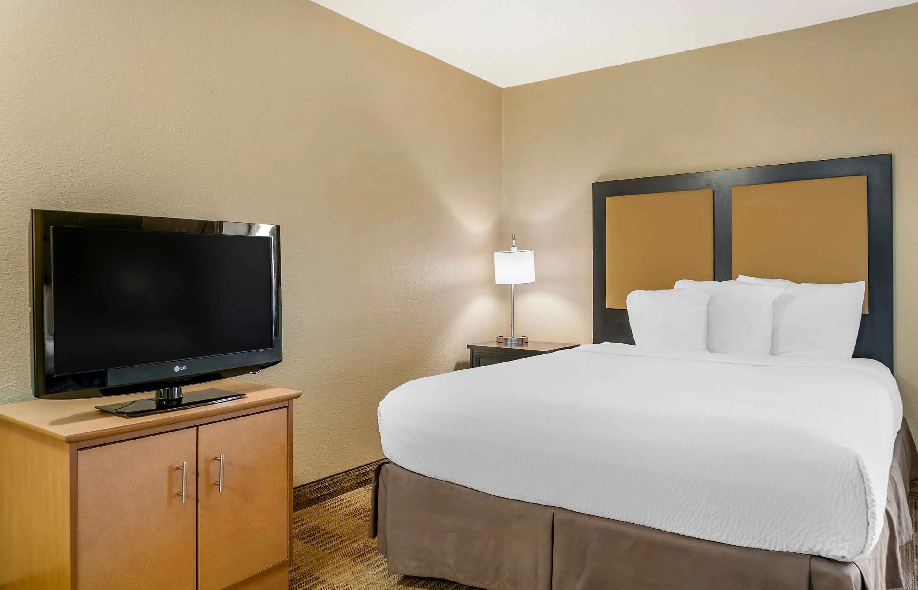Studio Suite - 2 Queen Beds