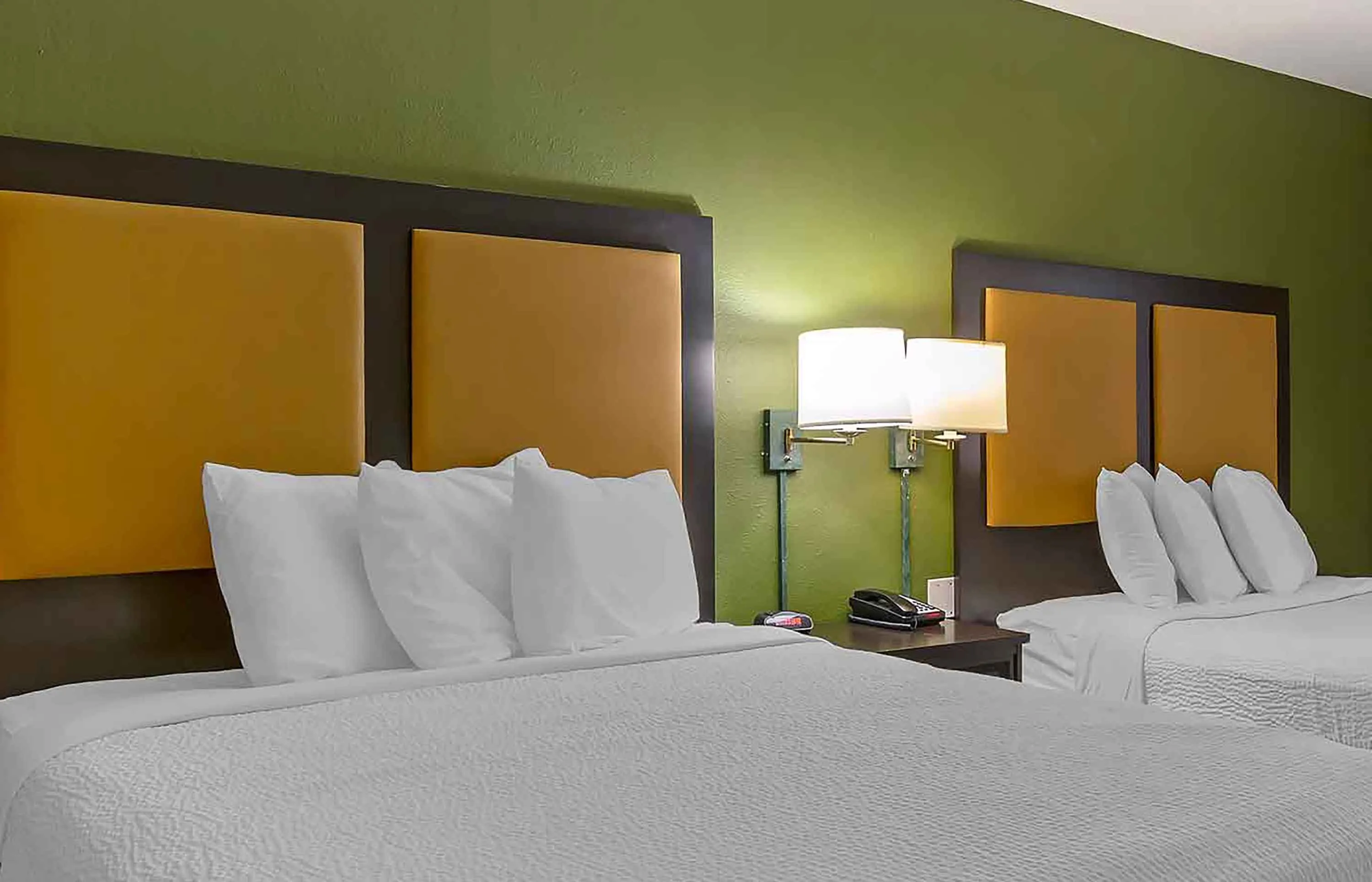 Studio Suite - 2 Full Beds